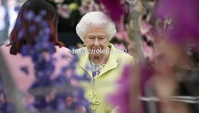 英国女王预计明年将退位国内外关注王室未来走势